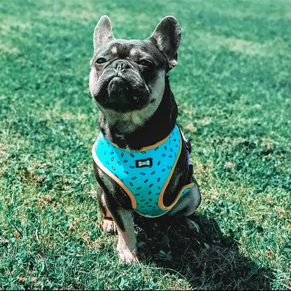 Sprinkles for Days reversible harness - Pet Supplier Store