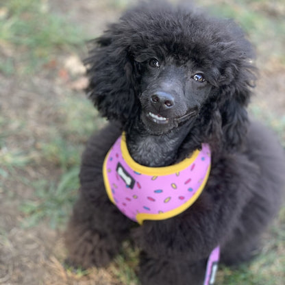 Sprinkles for Days reversible harness - Pet Supplier Store