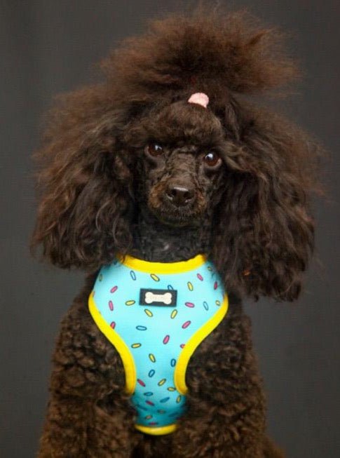 Sprinkles for Days reversible harness - Pet Supplier Store