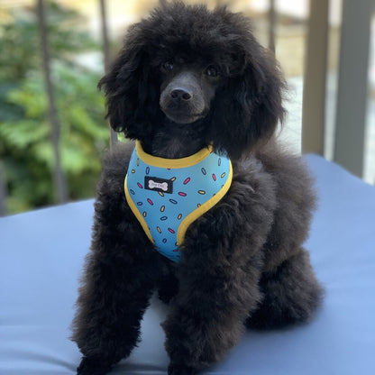 Sprinkles for Days reversible harness - Pet Supplier Store