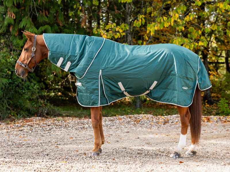 100g Stable Rug With Detachable Neck - Hunter Green
