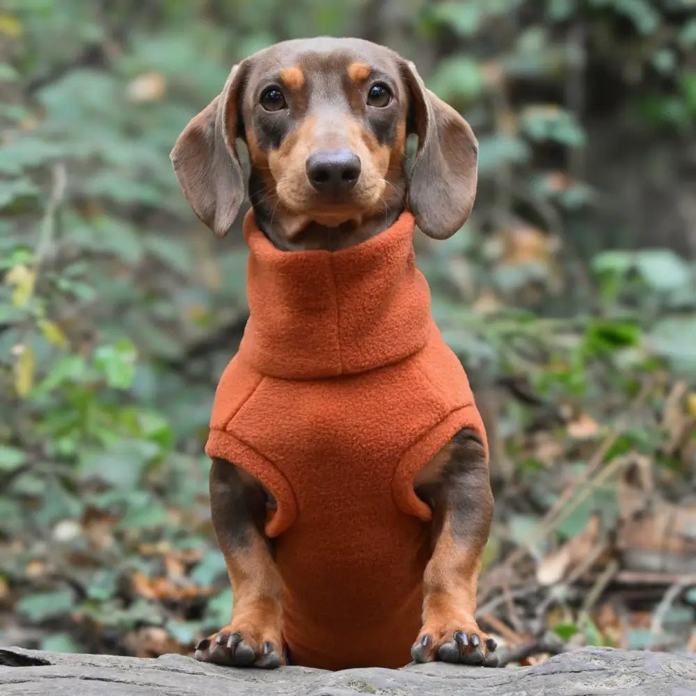 Standard Sized Fleece Snuggle Jumper - Ready to Ship | Hugo and Ted - Pet Supplier Store