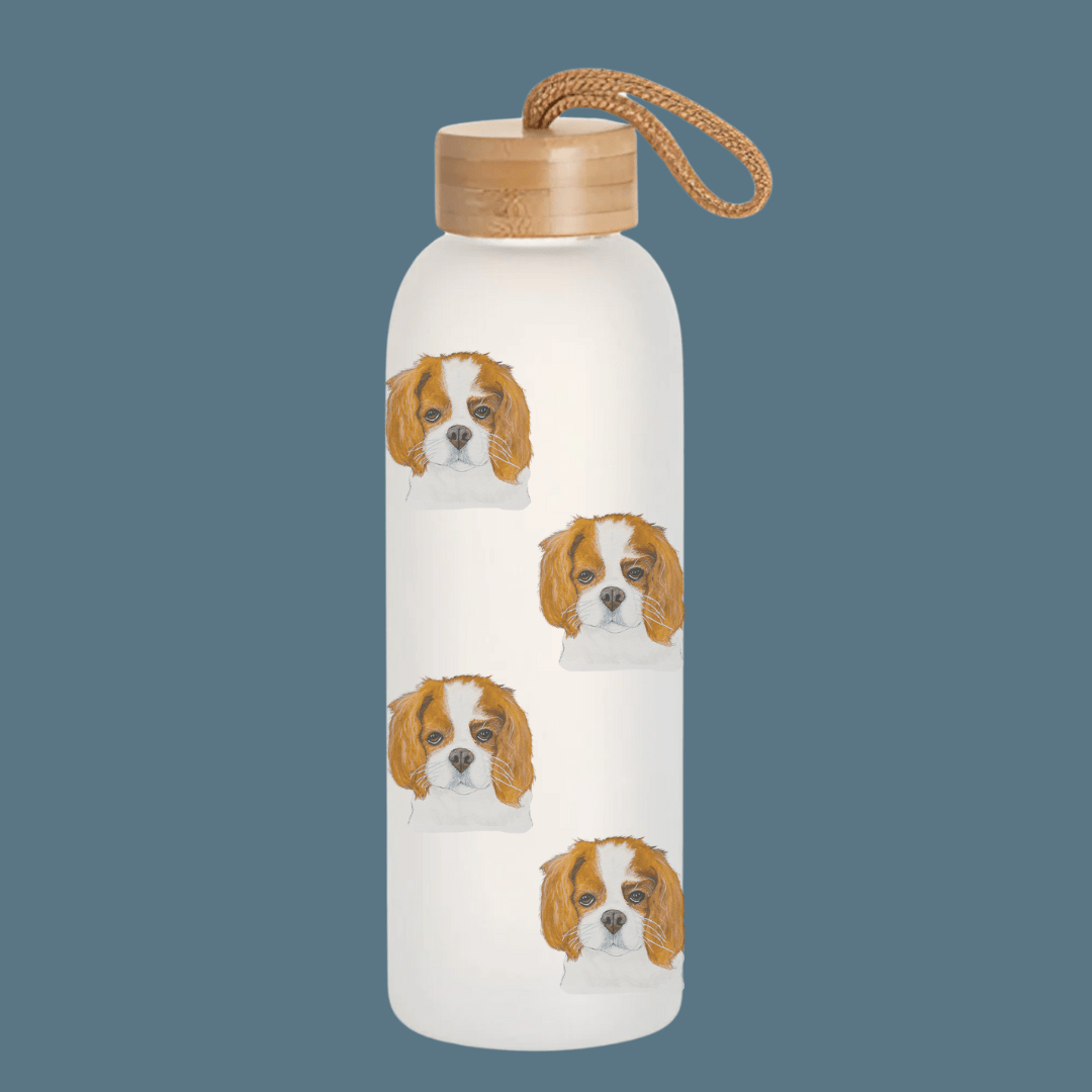 Stay Pawsitive: Royal Cavalier Frosted Glass Water Bottle - Pet Supplier Store