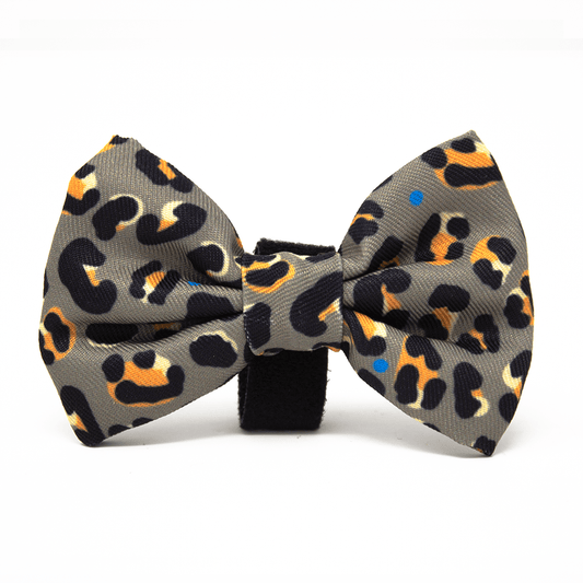 Steel Leopard Bow Tie - Pet Supplier Store