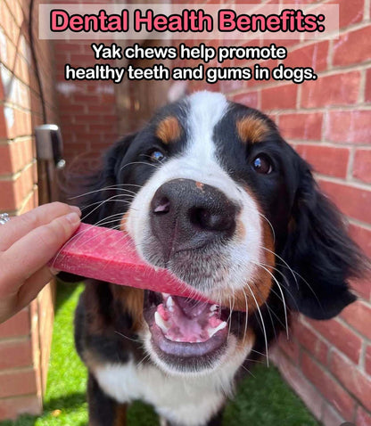 Strawberry Yak Dog Chew - Pet Supplier Store