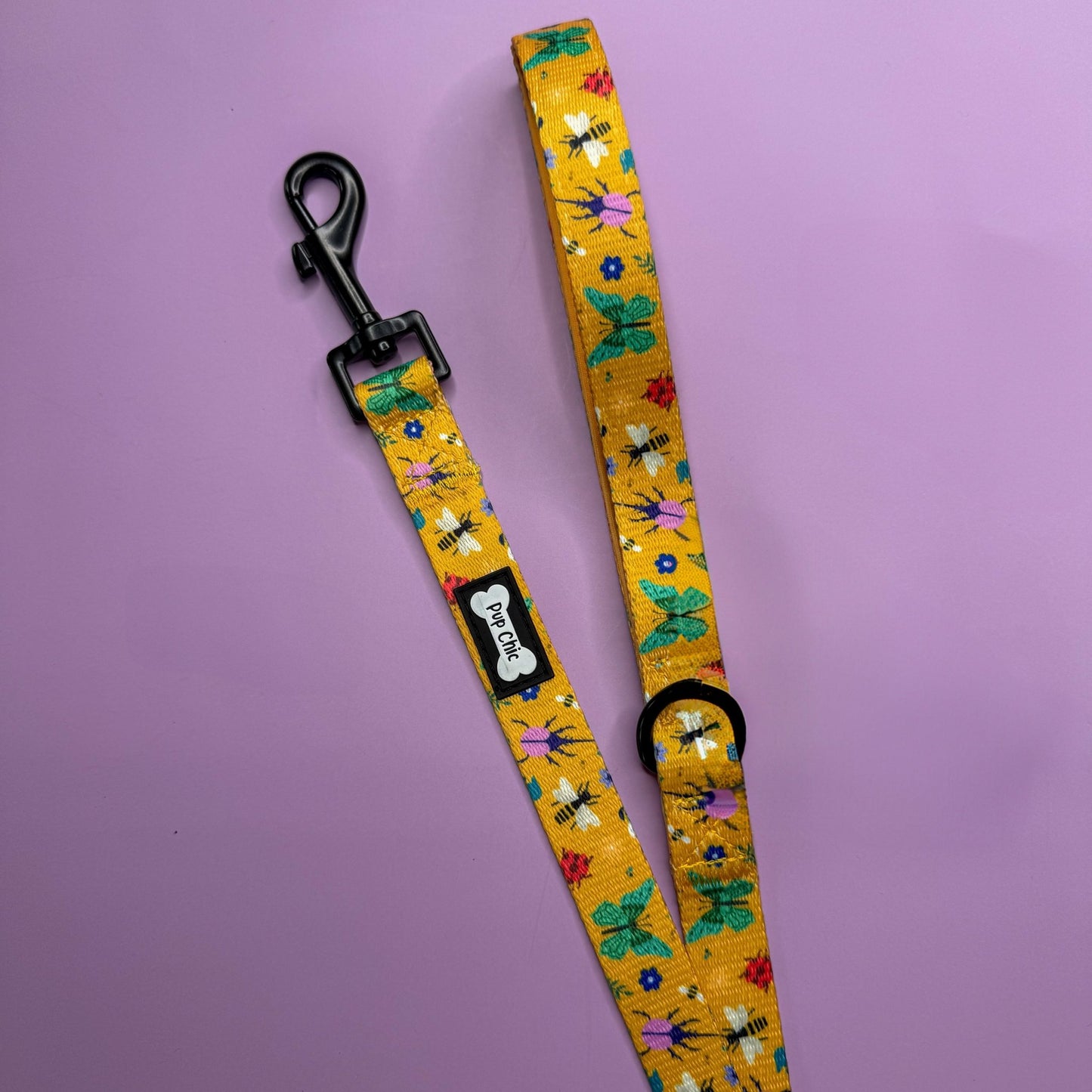 Summer Buzzin’ 5ft dog lead - Pet Supplier Store