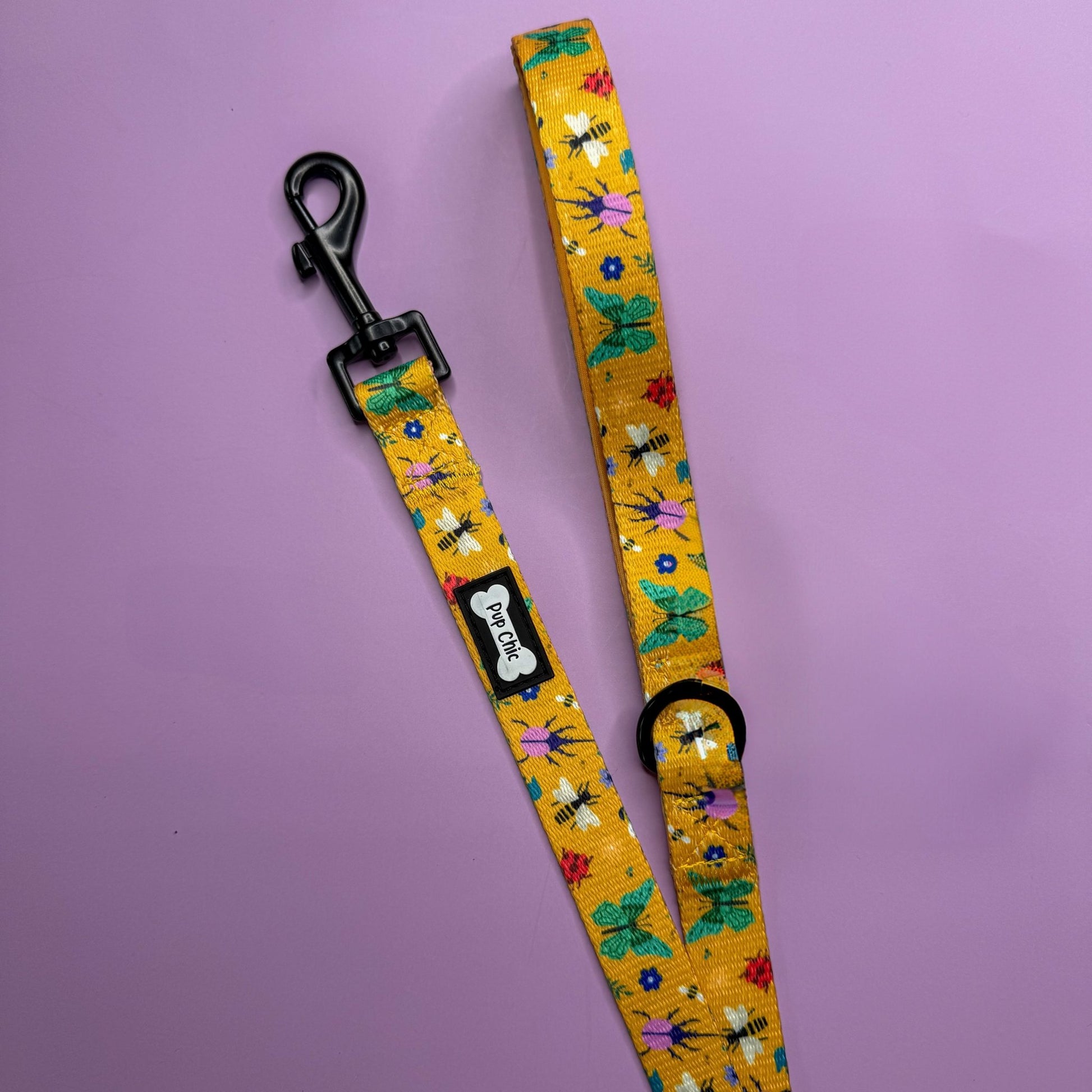 Summer Buzzin’ 5ft dog lead - Pet Supplier Store