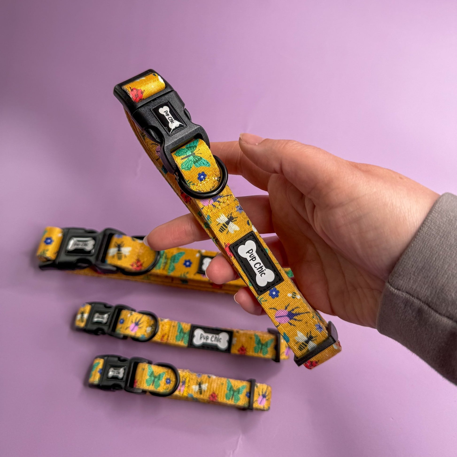 Summer Buzzin’ Dog Collar - Pet Supplier Store