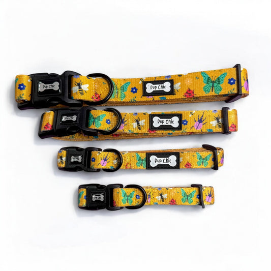 Summer Buzzin’ Dog Collar - Pet Supplier Store