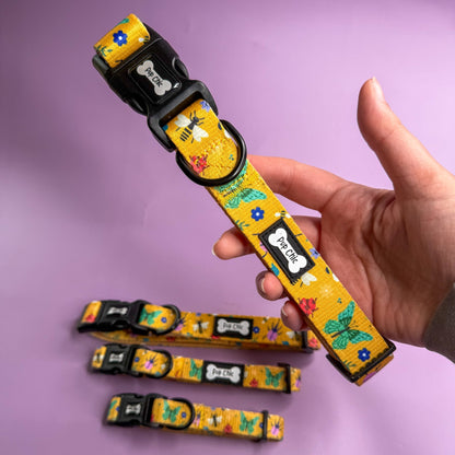 Summer Buzzin’ Dog Collar - Pet Supplier Store