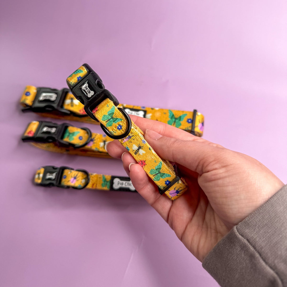 Summer Buzzin’ Dog Collar - Pet Supplier Store