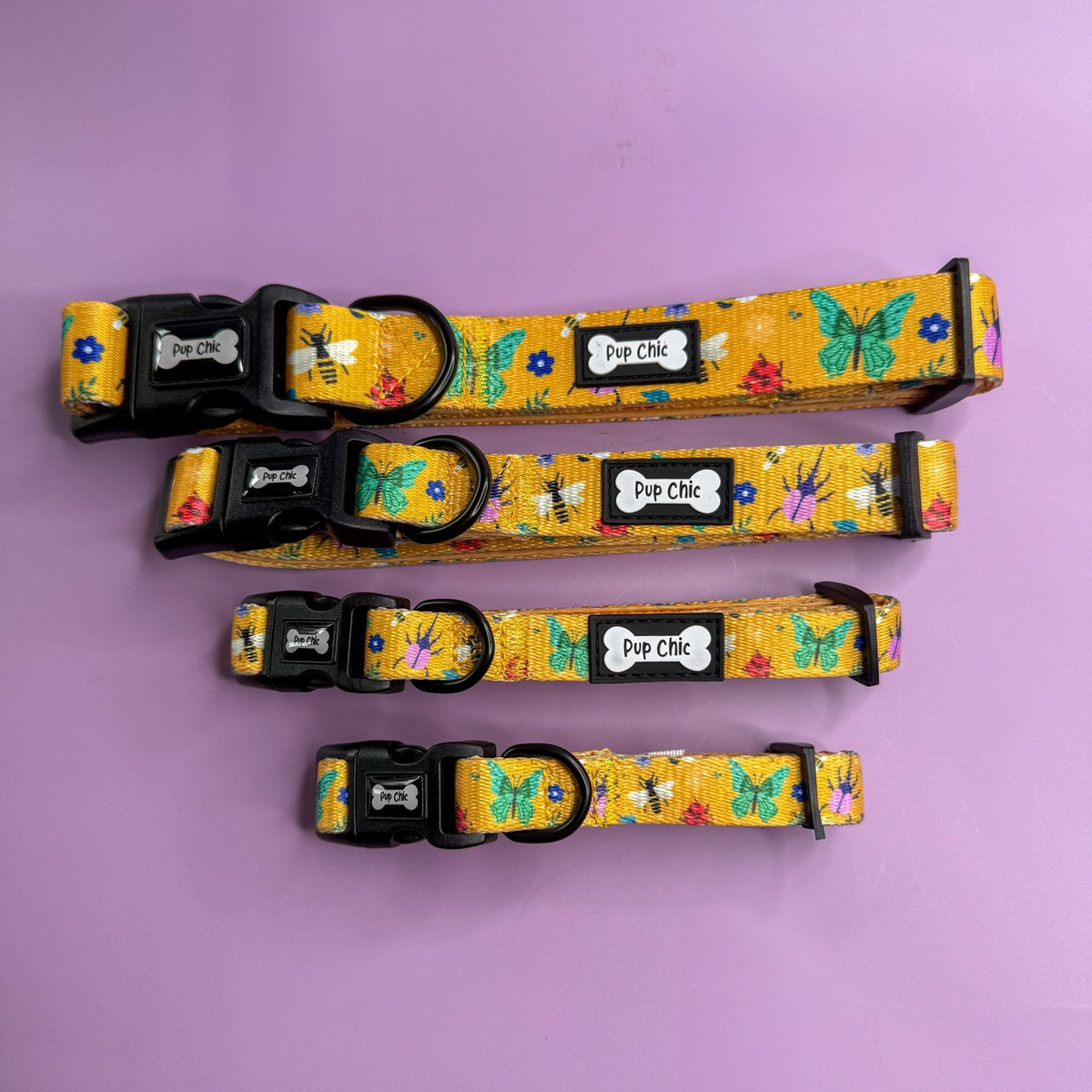Summer Buzzin’ Dog Collar - Pet Supplier Store