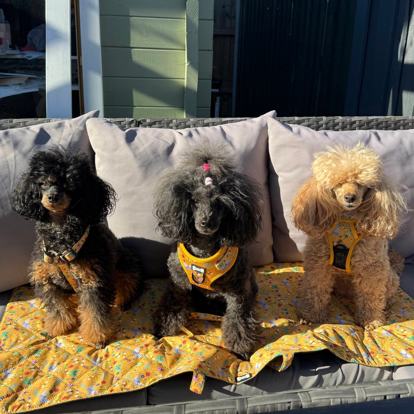 Summer Buzzin' Dog Settle Mat – Lightweight, Waterproof & Travel-Friendly - Pet Supplier Store