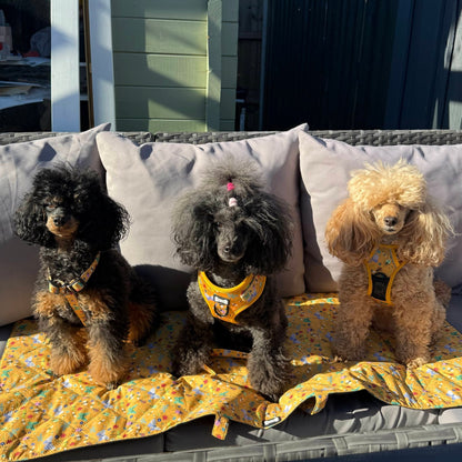 Summer Buzzin' Dog Settle Mat – Lightweight, Waterproof & Travel-Friendly - Pet Supplier Store