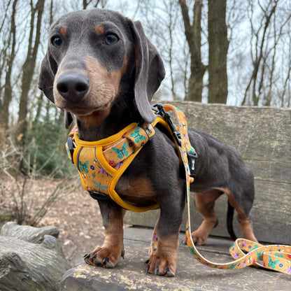 Summer Buzzin' No Pull Tactical Dog Harness – Yellow Insect Print, Adjustable, Step-In (XS-XL) - Pet Supplier Store