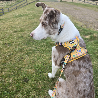 Summer Buzzin' No Pull Tactical Dog Harness – Yellow Insect Print, Adjustable, Step-In (XS-XL) - Pet Supplier Store