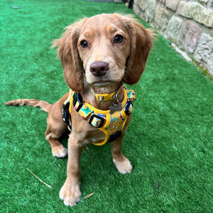 Summer Buzzin' No Pull Tactical Dog Harness – Yellow Insect Print, Adjustable, Step-In (XS-XL) - Pet Supplier Store