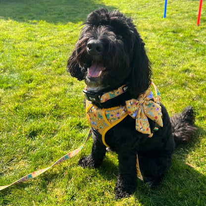 Summer Buzzin’ Sailor bow - Pet Supplier Store