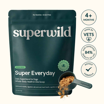 Super Everyday - Pet Supplier Store