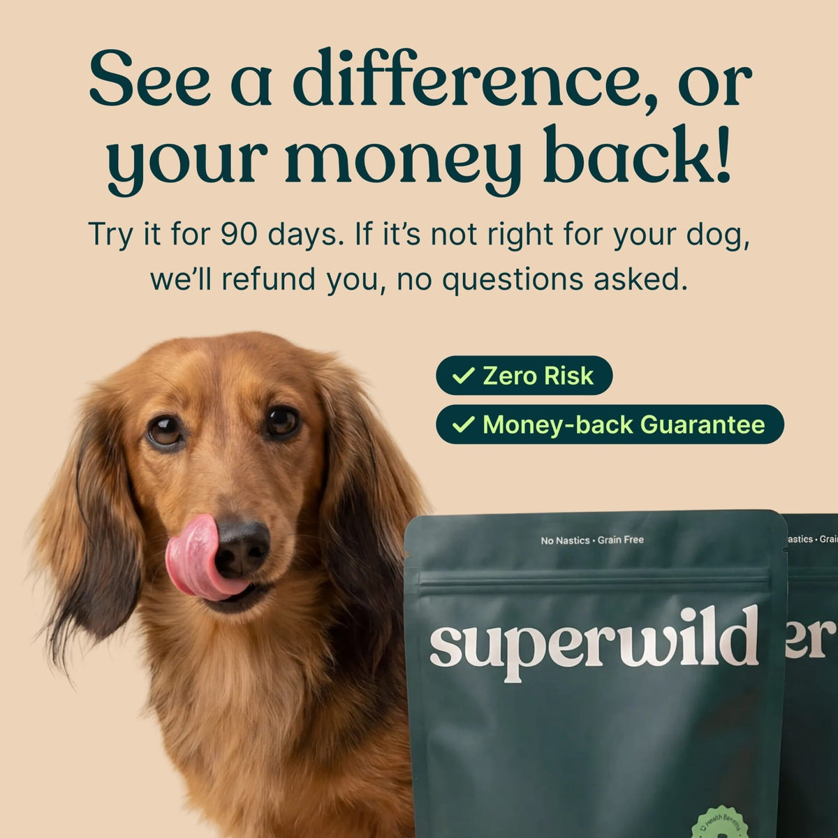 Super Everyday - Pet Supplier Store