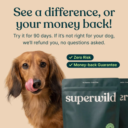 Super Everyday - Pet Supplier Store