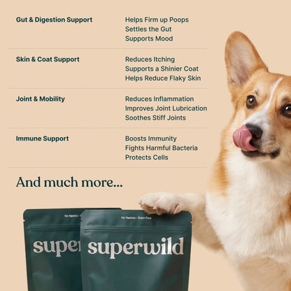Super Everyday - Pet Supplier Store