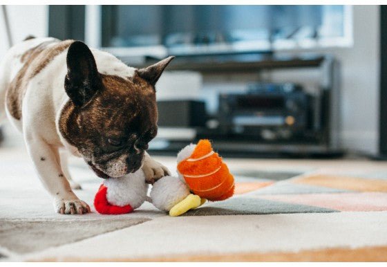Sushi Plush Dog Toy - Pet Supplier Store