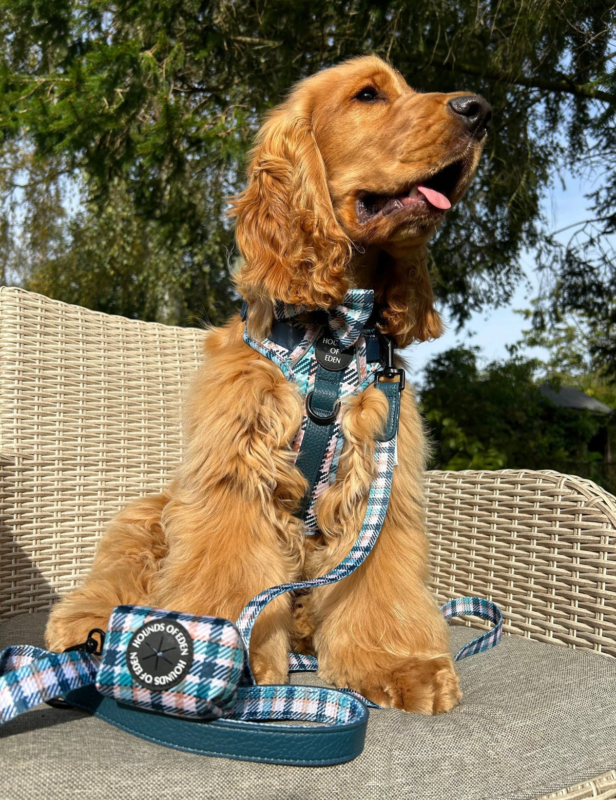 Tealing Smart Design Poop Bag Holder - Pet Supplier Store
