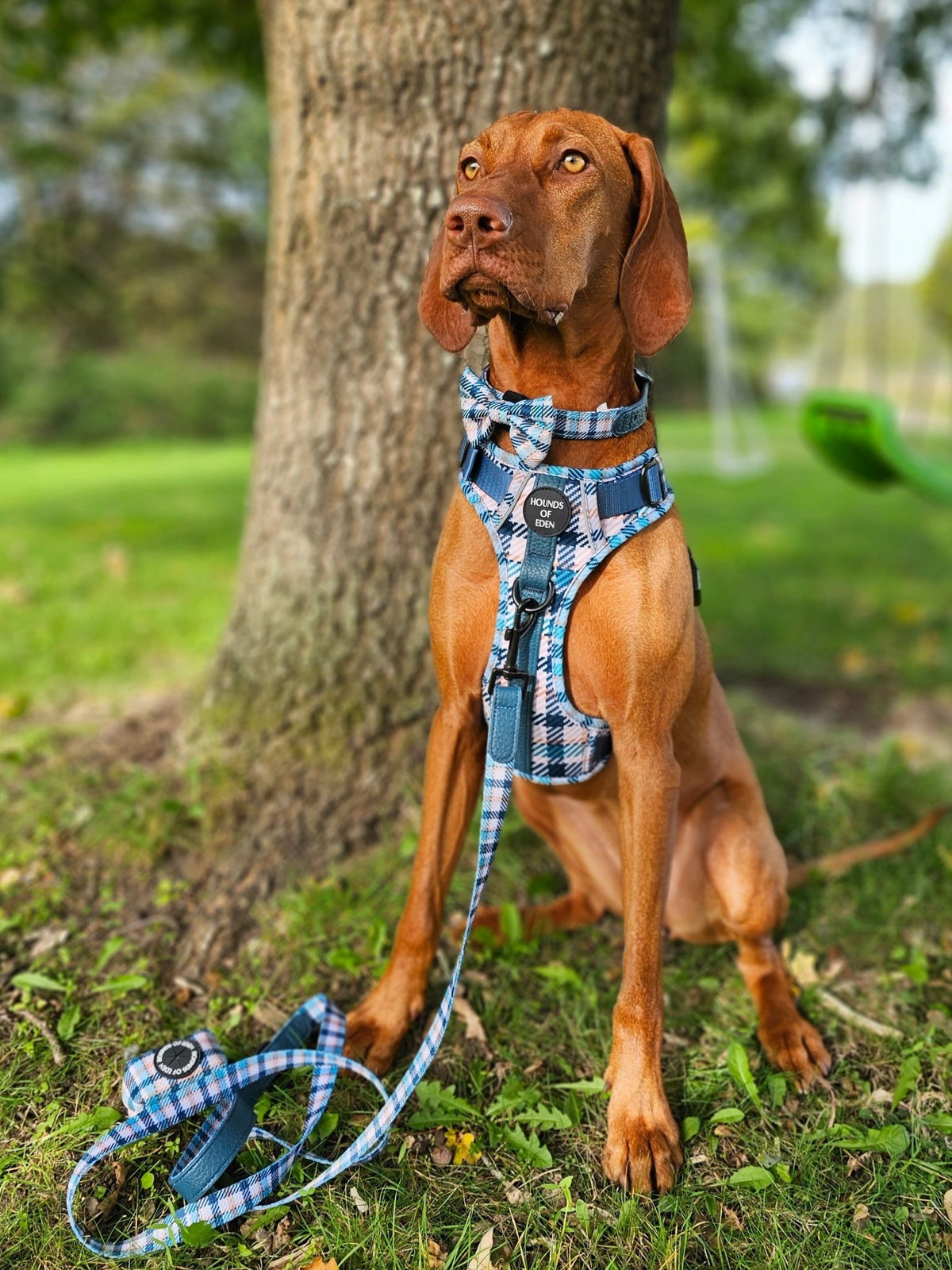 Tealing Smart Design Poop Bag Holder - Pet Supplier Store