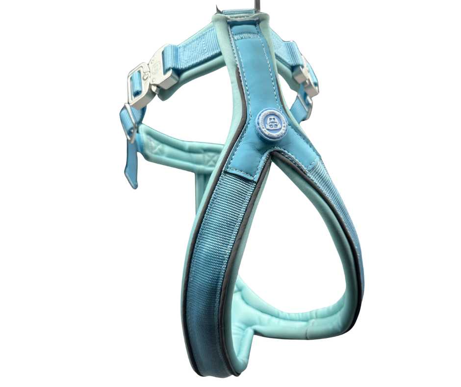 The 2.5cm BTactical™ Slip on Harness | Pastel Blue - Pet Supplier Store