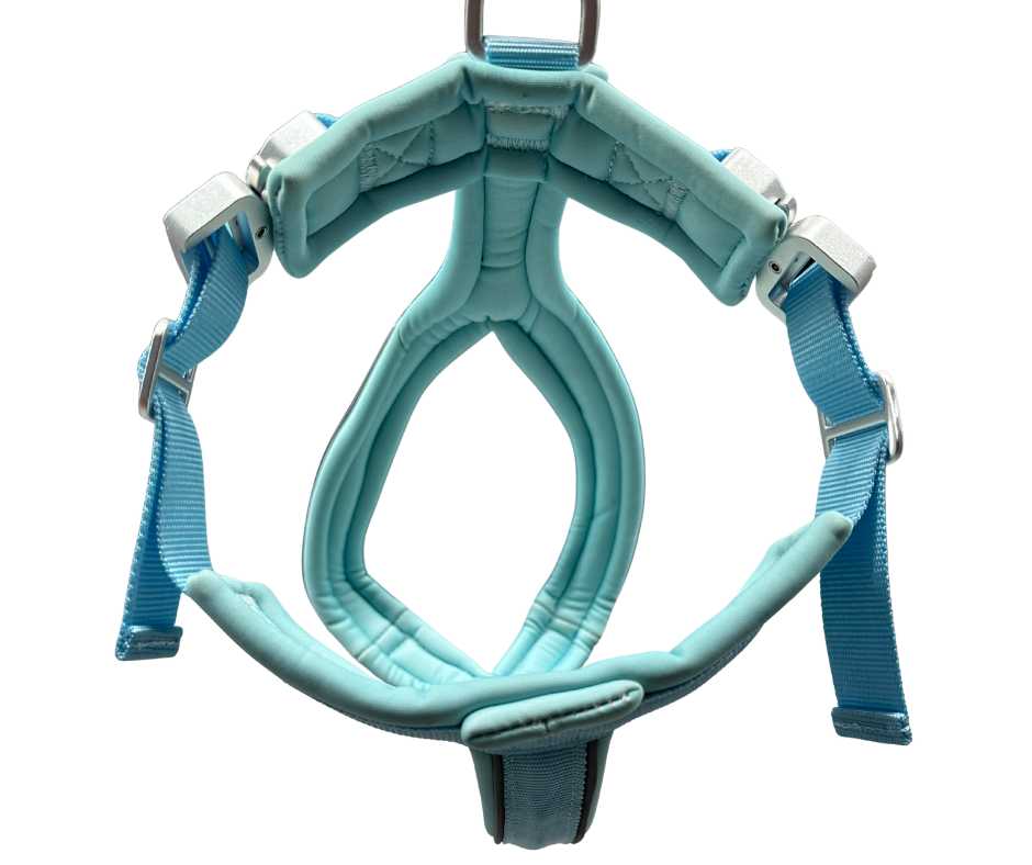 The 2.5cm BTactical™ Slip on Harness | Pastel Blue - Pet Supplier Store