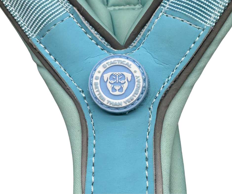 The 2.5cm BTactical™ Slip on Harness | Pastel Blue - Pet Supplier Store