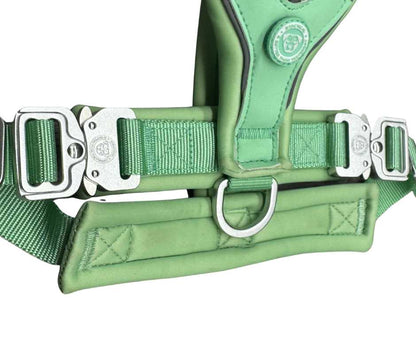The 2.5cm BTactical™ Slip on Harness | Pastel Green - Pet Supplier Store