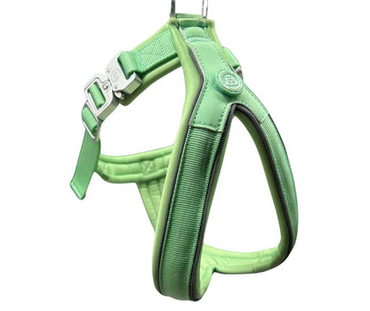 The 2.5cm BTactical™ Slip on Harness | Pastel Green - Pet Supplier Store