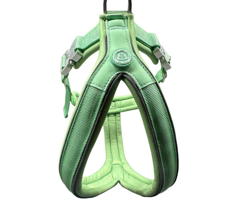 The 2.5cm BTactical™ Slip on Harness | Pastel Green - Pet Supplier Store