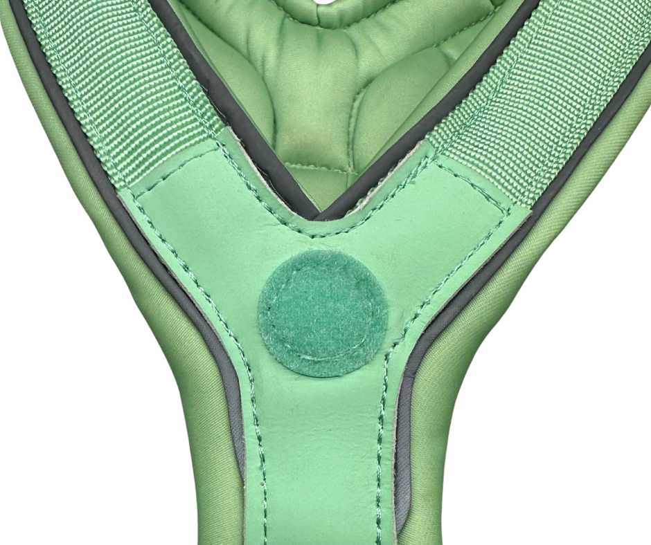 The 2.5cm BTactical™ Slip on Harness | Pastel Green - Pet Supplier Store