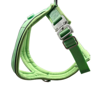 The 2.5cm BTactical™ Slip on Harness | Pastel Green - Pet Supplier Store