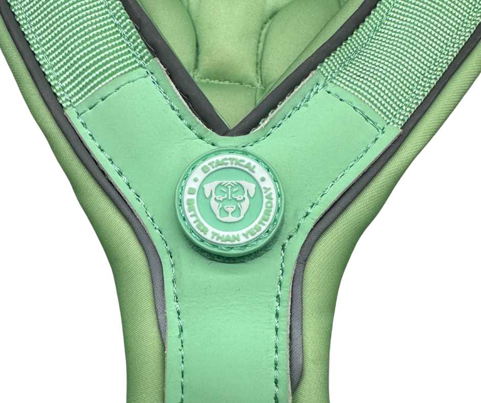 The 2.5cm BTactical™ Slip on Harness | Pastel Green - Pet Supplier Store