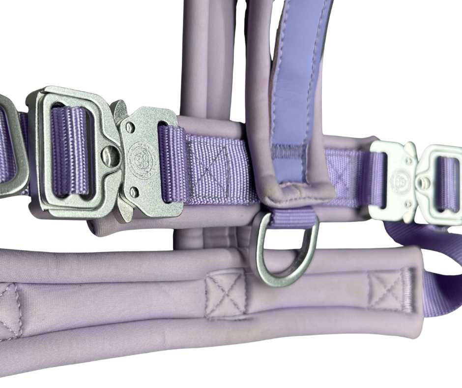 The 2.5cm BTactical™ Slip on Harness| Pastel Purple - Pet Supplier Store