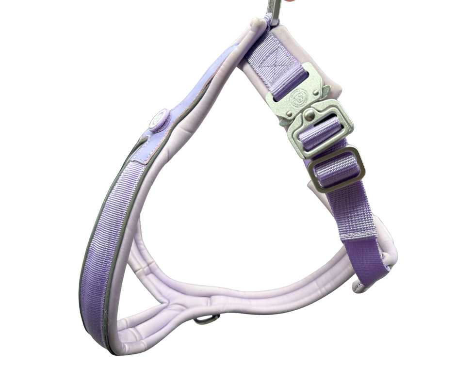 The 2.5cm BTactical™ Slip on Harness| Pastel Purple - Pet Supplier Store