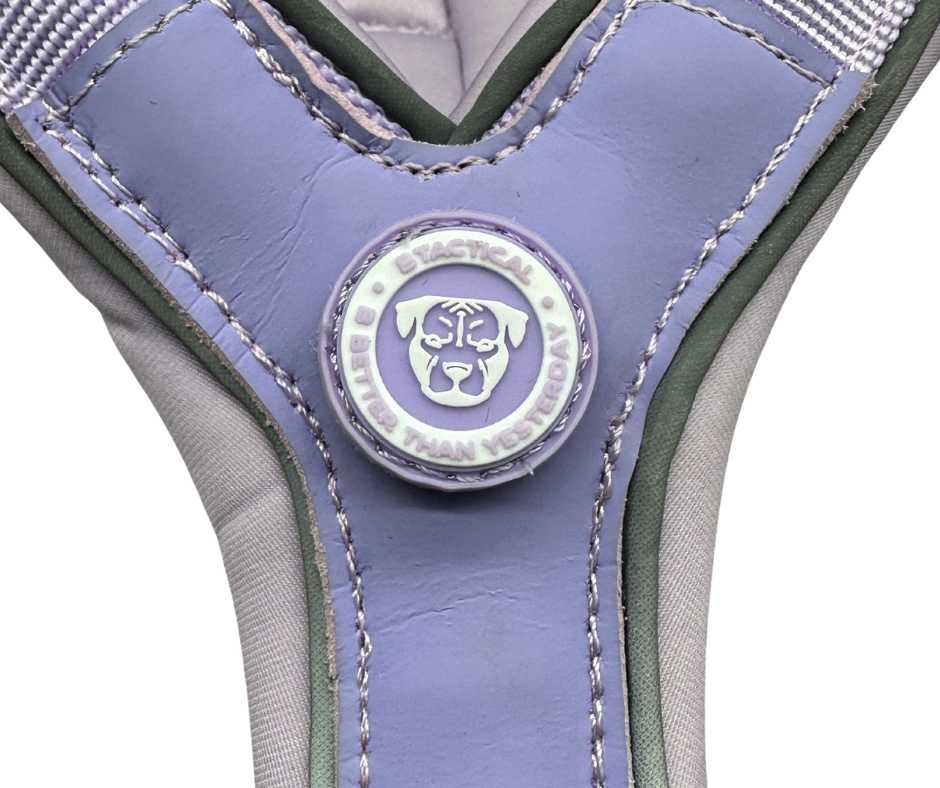 The 2.5cm BTactical™ Slip on Harness| Pastel Purple - Pet Supplier Store