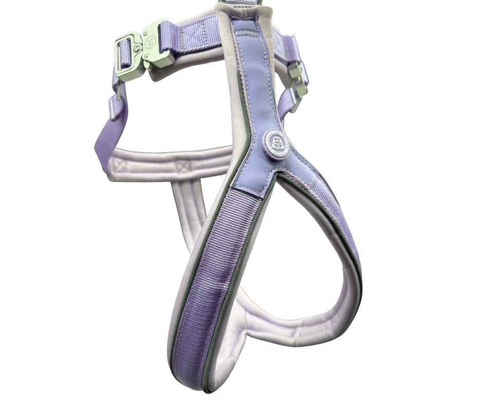 The 2.5cm BTactical™ Slip on Harness| Pastel Purple - Pet Supplier Store