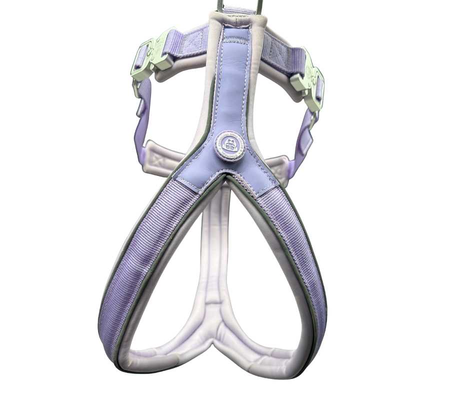 The 2.5cm BTactical™ Slip on Harnesses - Pet Supplier Store