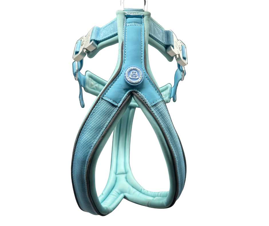 The 2.5cm BTactical™ Slip on Harnesses - Pet Supplier Store