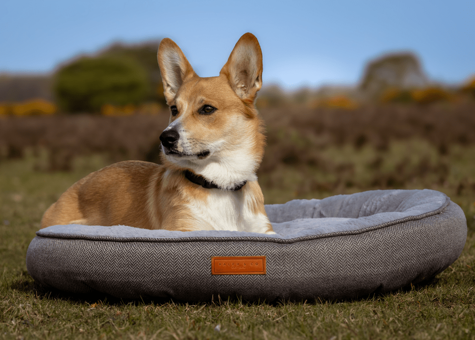 THE BALMORAL | LUXURY DONUT BED - Pet Supplier Store