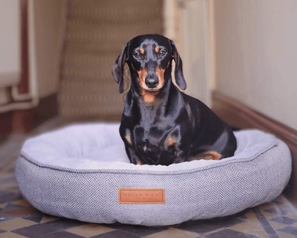 THE BALMORAL | LUXURY DONUT BED - Pet Supplier Store