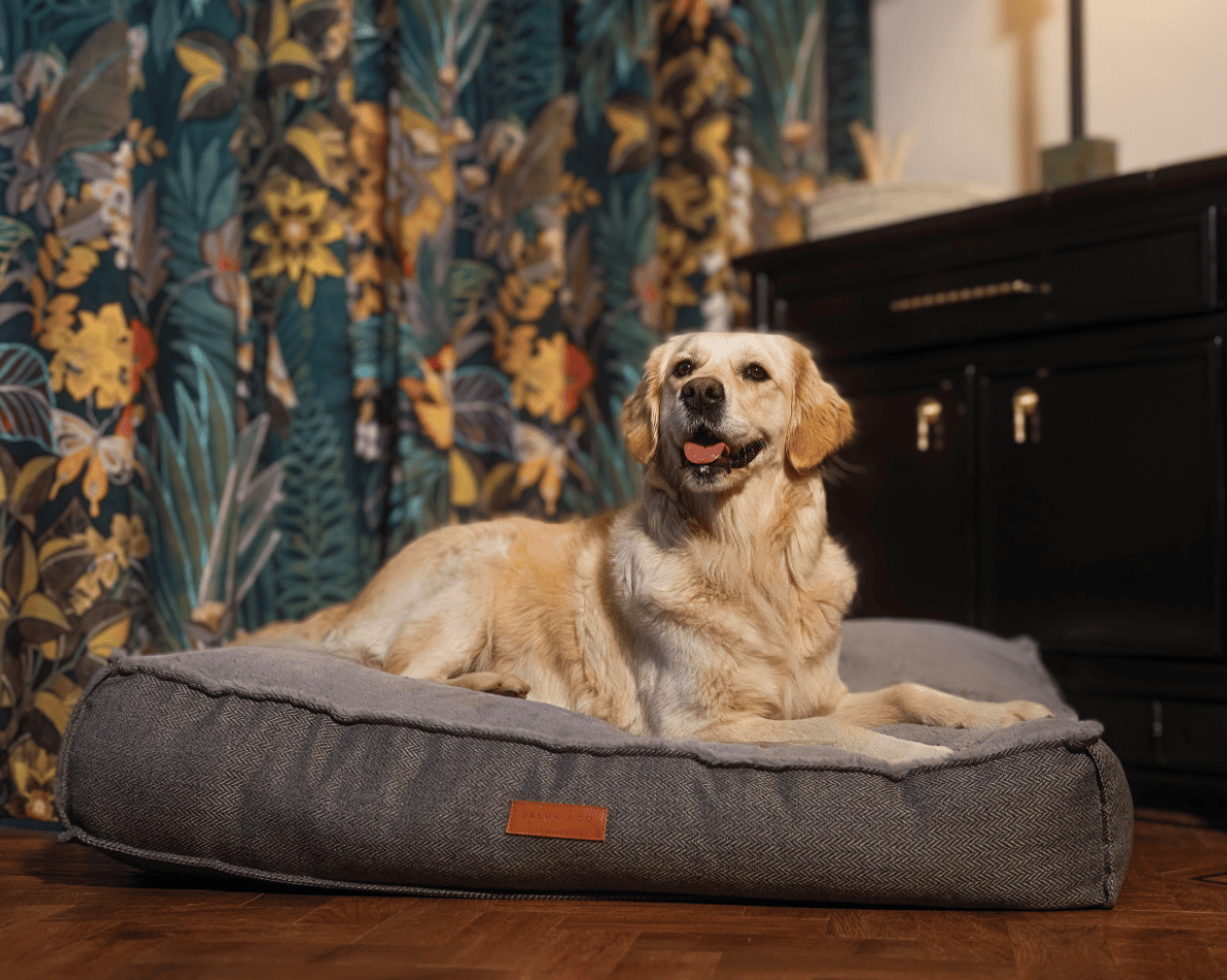 THE BALMORAL | LUXURY PILLOW BED - Pet Supplier Store