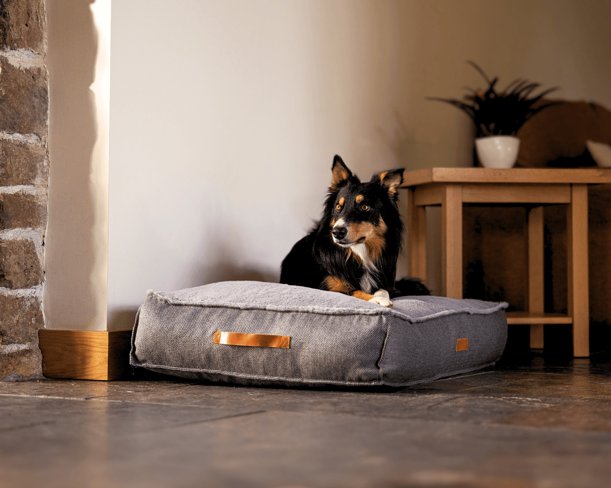 THE BALMORAL | LUXURY PILLOW BED - Pet Supplier Store