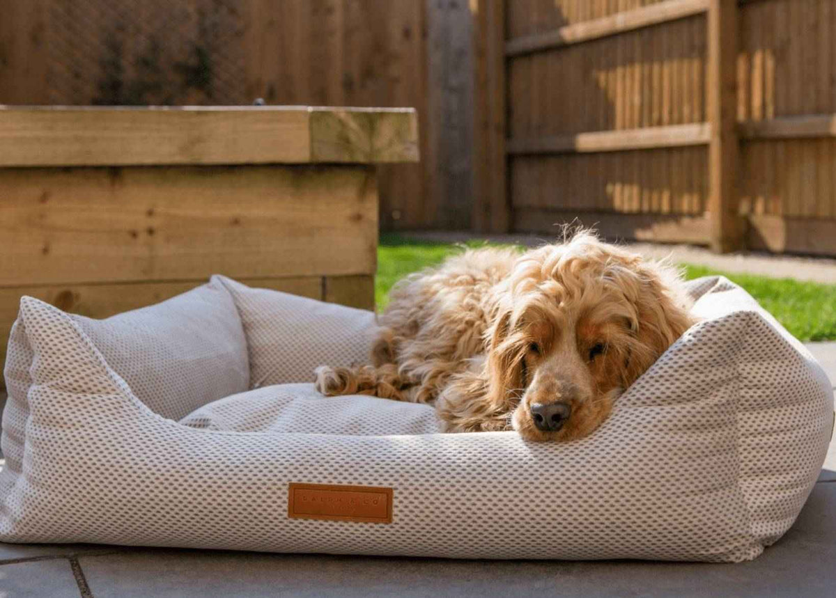 THE CHATSWORTH | LUXURY MEMORY FOAM BED - Pet Supplier Store