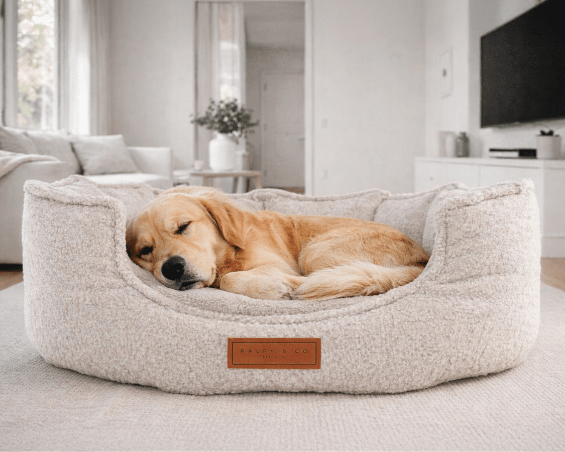 THE COTSWOLD | LUXURY BOUCLE BED - Pet Supplier Store